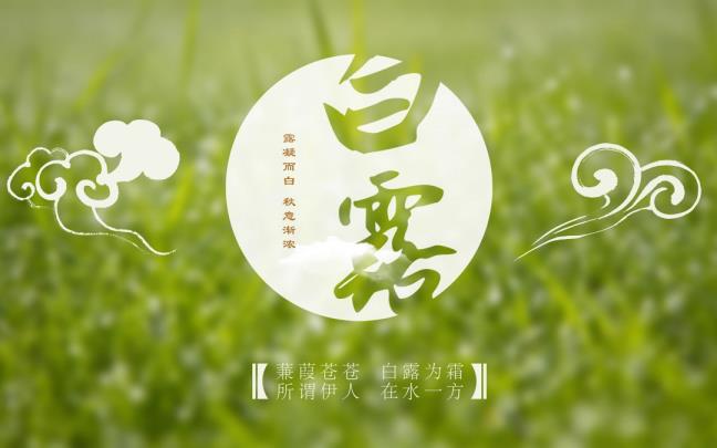 白露摄生谚语