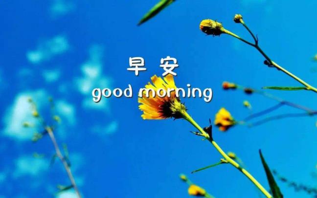 发卖晨安心语气候严寒