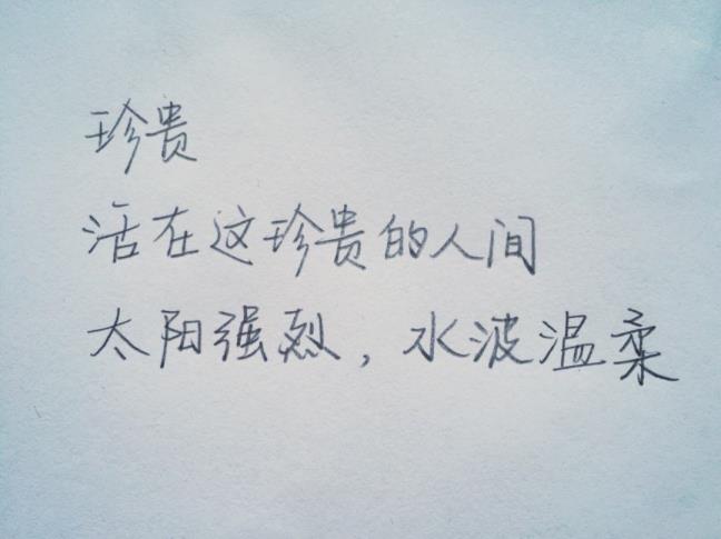 温顺句子洁净