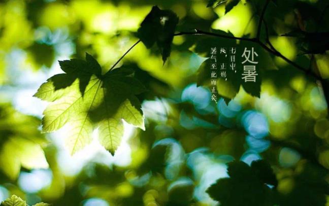 描述大天然的诗歌