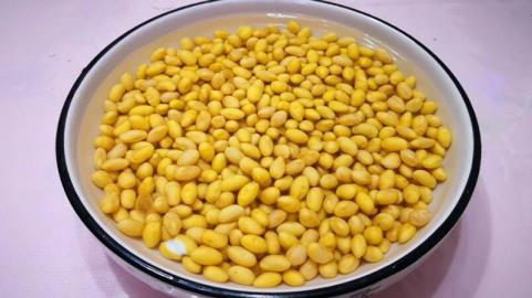 大豆怎样吃更有养分