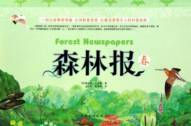 丛林报好词好句