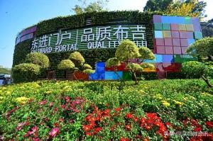 深圳布吉是哪一个区(深圳市龙岗区有哪些处所)