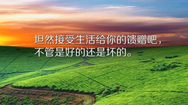 浓艳清俗的句子