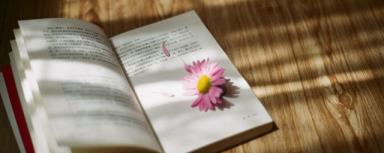 儿子生长表情短语