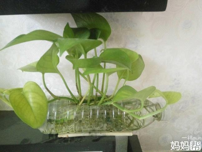 成品变成宝怎样做简略作品