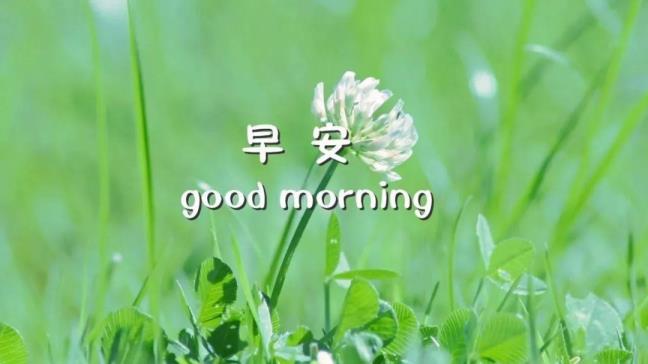 晨安最美一句话