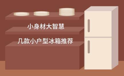 小型冰箱哪一个牌子好(家用小冰箱哪一个牌子品质好)