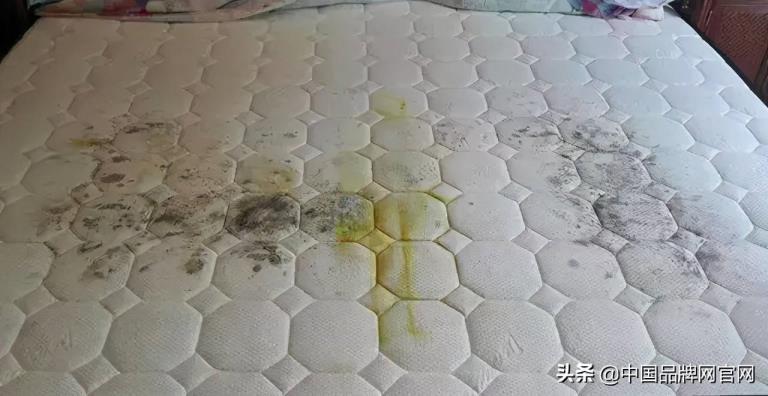 床垫那里好(品牌床排名前十名)