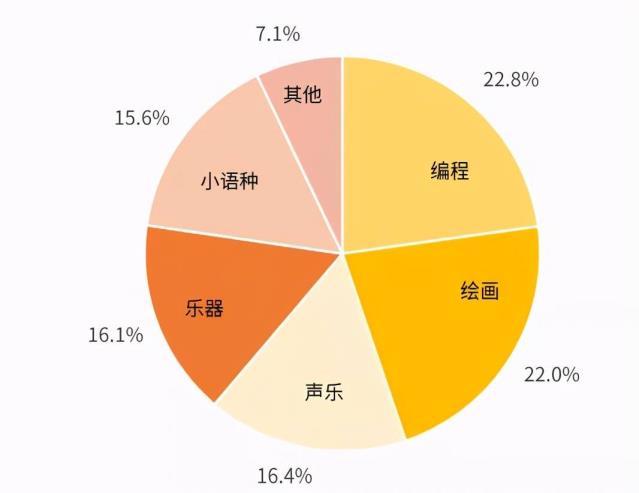 那里有少儿编程学(甚么是少儿编程)