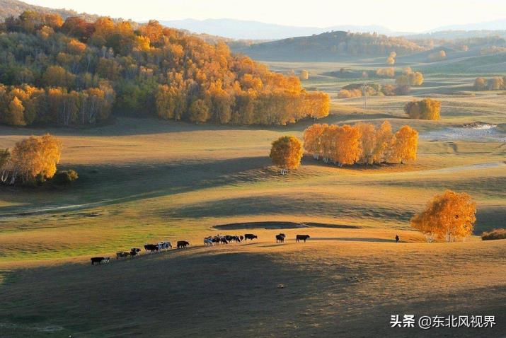 坝上是那里的(赤峰坝上)