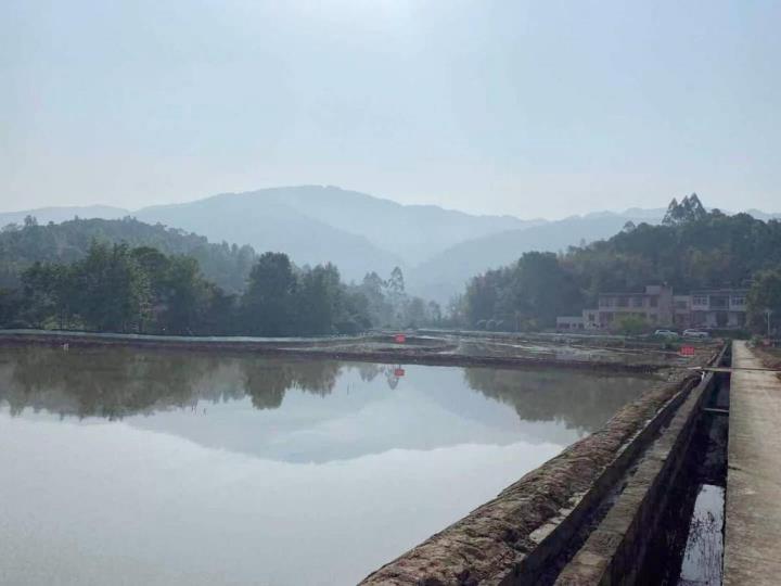 龙虾养那里(清蒸龙虾)
