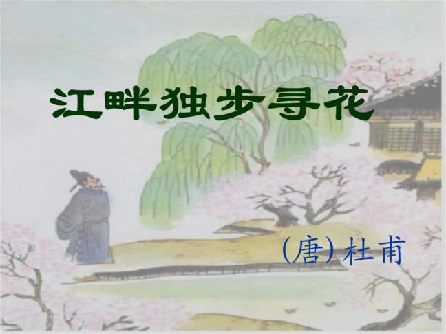 江干独步寻花全诗意义