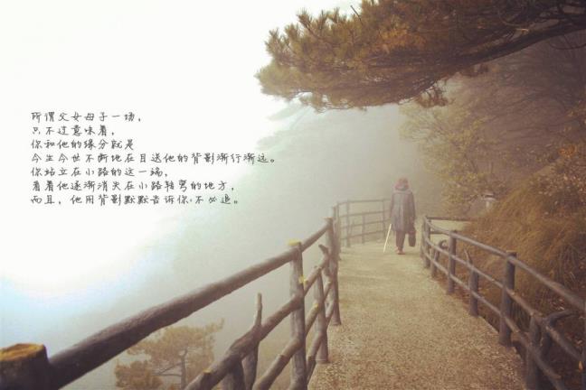 目送好词好句