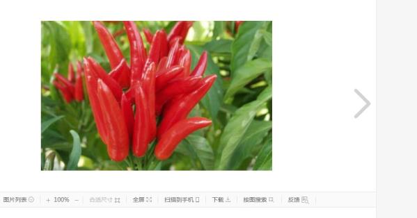 酸甜辣椒的腌制方式