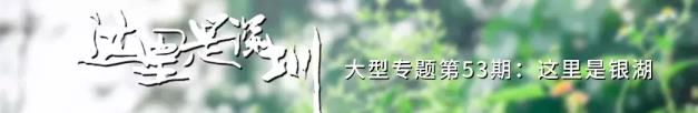 银湖在那里(深圳光亮区有甚么好玩的景点)