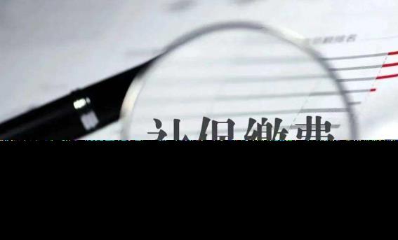 社保小我若何缴费(社保小我怎样缴费)