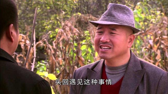 村落恋情5演员表