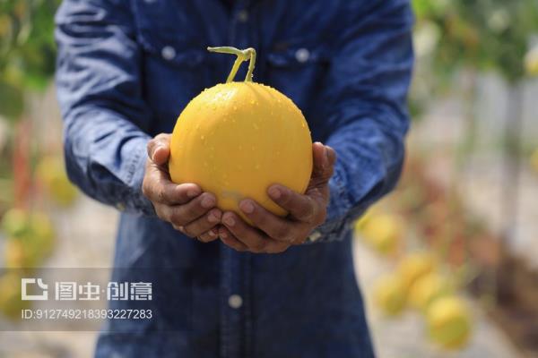 甘肃特产有哪些