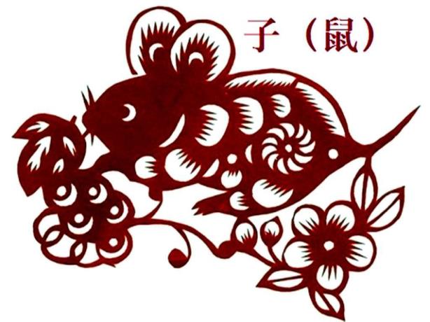 本命年要注重甚么属鼠