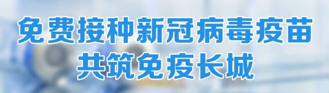 若何利用收集(收集带来的风险有哪些)
