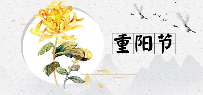 重阳日有作释义