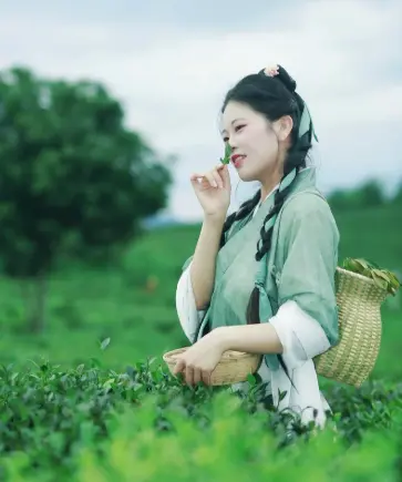 上海吃喝玩乐攻略网：解锁魔都夜生活与品茶休闲的极致体验