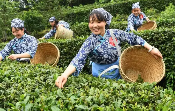上海探店地图：一张藏着魔都灵魂的城市寻宝图🗺️