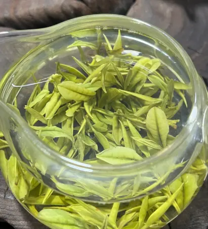 上海探店地图：一张藏着魔都灵魂的城市寻宝图🗺️